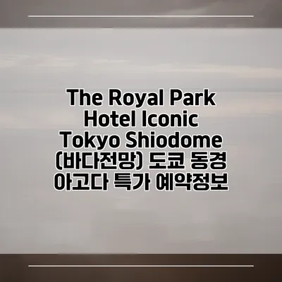 The Royal Park Hotel Iconic Tokyo Shiodome (바다전망) 도쿄 동경 아고다 특가 예약정보