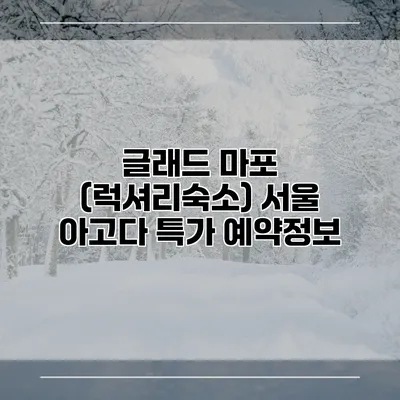 글래드 마포 (럭셔리숙소) 서울 아고다 특가 예약정보