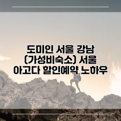 도미인 서울 강남 (가성비숙소) 서울 아고다 할인예약 노하우