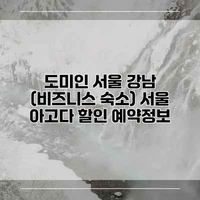 도미인 서울 강남 (비즈니스 숙소) 서울 아고다 할인 예약정보