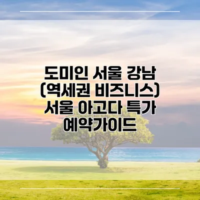 도미인 서울 강남 (역세권 비즈니스) 서울 아고다 특가 예약가이드