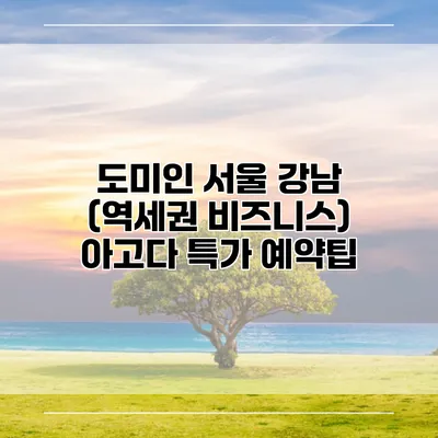 도미인 서울 강남 (역세권 비즈니스) 아고다 특가 예약팁