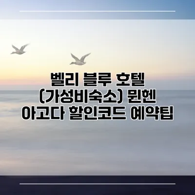벨리 블루 호텔 (가성비숙소) 뮌헨 아고다 할인코드 예약팁