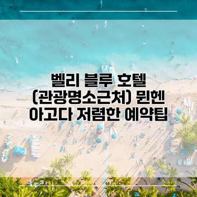 벨리 블루 호텔 (관광명소근처) 뮌헨 아고다 저렴한 예약팁