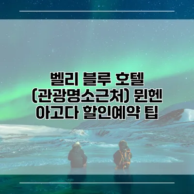 벨리 블루 호텔 (관광명소근처) 뮌헨 아고다 할인예약 팁