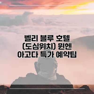 벨리 블루 호텔 (도심위치) 뮌헨 아고다 특가 예약팁