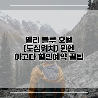 벨리 블루 호텔 (도심위치) 뮌헨 아고다 할인예약 꿀팁