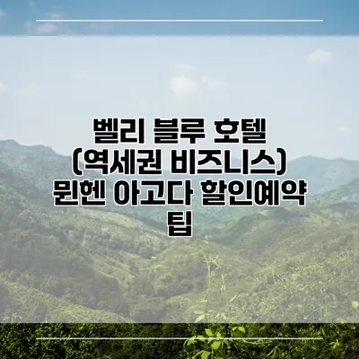 벨리 블루 호텔 (역세권 비즈니스) 뮌헨 아고다 할인예약 팁