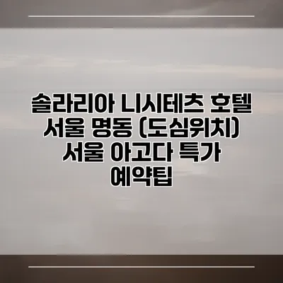 솔라리아 니시테츠 호텔 서울 명동 (도심위치) 서울 아고다 특가 예약팁
