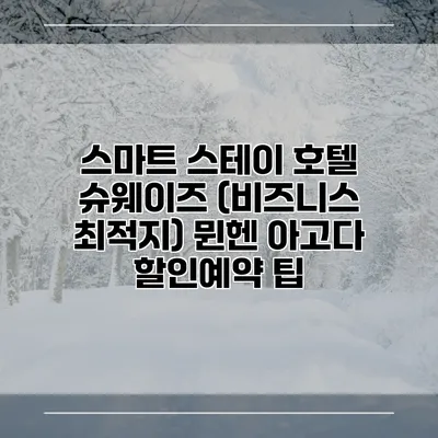 스마트 스테이 호텔 슈웨이즈 (비즈니스 최적지) 뮌헨 아고다 할인예약 팁