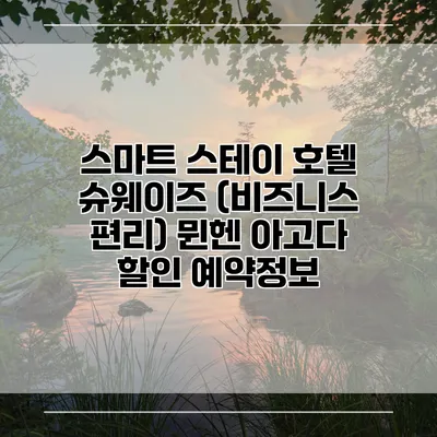 스마트 스테이 호텔 슈웨이즈 (비즈니스 편리) 뮌헨 아고다 할인 예약정보