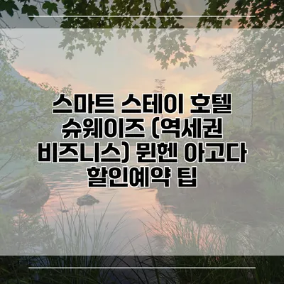 스마트 스테이 호텔 슈웨이즈 (역세권 비즈니스) 뮌헨 아고다 할인예약 팁
