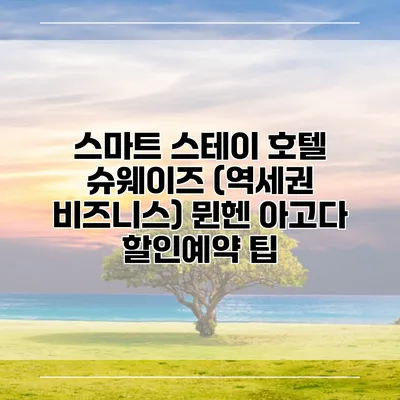 스마트 스테이 호텔 슈웨이즈 (역세권 비즈니스) 뮌헨 아고다 할인예약 팁