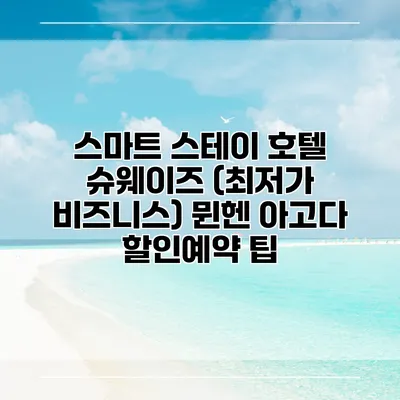 스마트 스테이 호텔 슈웨이즈 (최저가 비즈니스) 뮌헨 아고다 할인예약 팁