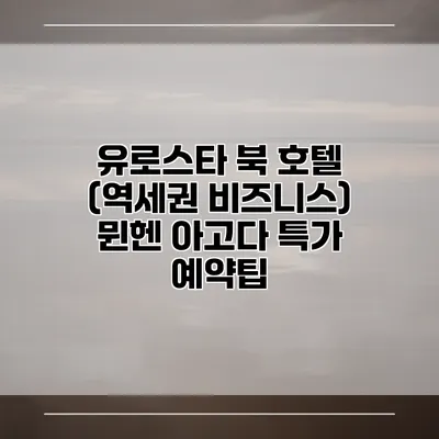 유로스타 북 호텔 (역세권 비즈니스) 뮌헨 아고다 특가 예약팁