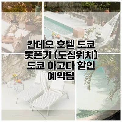 칸데오 호텔 도쿄 롯폰기 (도심위치) 도쿄 아고다 할인 예약팁