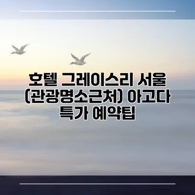 호텔 그레이스리 서울 (관광명소근처) 아고다 특가 예약팁