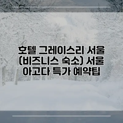 호텔 그레이스리 서울 (비즈니스 숙소) 서울 아고다 특가 예약팁
