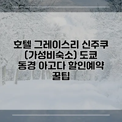 호텔 그레이스리 신주쿠 (가성비숙소) 도쿄 동경 아고다 할인예약 꿀팁