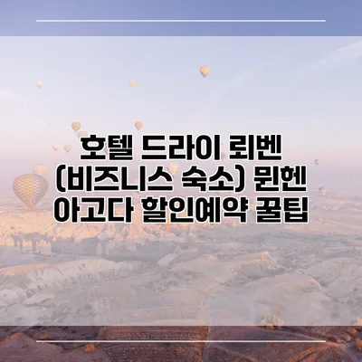 호텔 드라이 뢰벤 (비즈니스 숙소) 뮌헨 아고다 할인예약 꿀팁