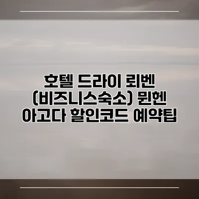 호텔 드라이 뢰벤 (비즈니스숙소) 뮌헨 아고다 할인코드 예약팁