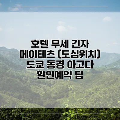 호텔 무세 긴자 메이테츠 (도심위치) 도쿄 동경 아고다 할인예약 팁