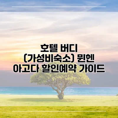 호텔 버디 (가성비숙소) 뮌헨 아고다 할인예약 가이드