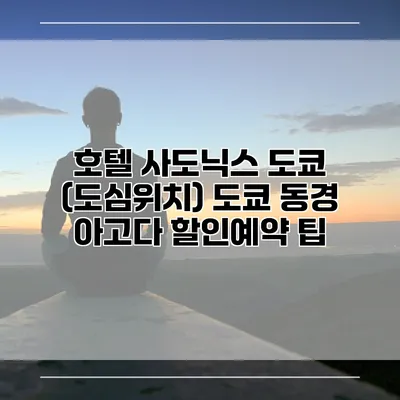 호텔 사도닉스 도쿄 (도심위치) 도쿄 동경 아고다 할인예약 팁