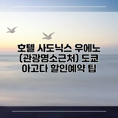 호텔 사도닉스 우에노 (관광명소근처) 도쿄 아고다 할인예약 팁