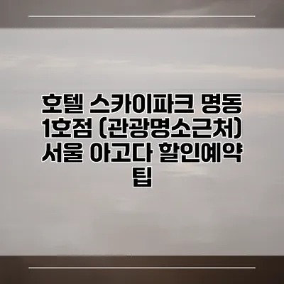 호텔 스카이파크 명동 1호점 (관광명소근처) 서울 아고다 할인예약 팁