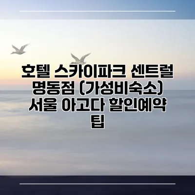호텔 스카이파크 센트럴 명동점 (가성비숙소) 서울 아고다 할인예약 팁