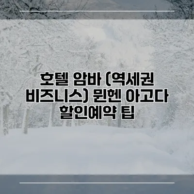 호텔 암바 (역세권 비즈니스) 뮌헨 아고다 할인예약 팁