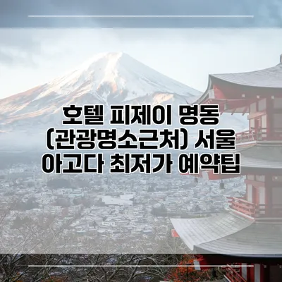 호텔 피제이 명동 (관광명소근처) 서울 아고다 최저가 예약팁