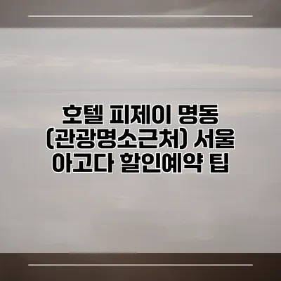 호텔 피제이 명동 (관광명소근처) 서울 아고다 할인예약 팁